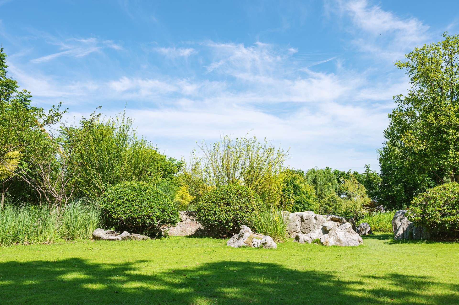 Landscape garden flowerbed with green lawn at a sunny day